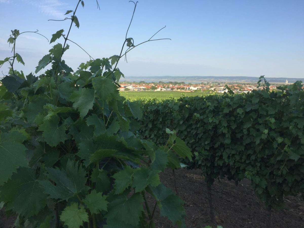 Weingut Krikler Lejlighed Weiden am See Eksteriør billede